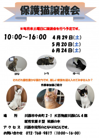 保護猫譲渡会