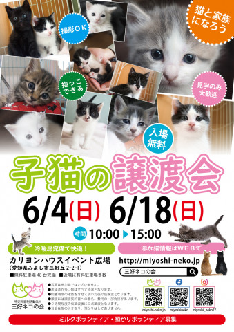 子猫まつり！子猫14匹・中猫6匹の譲渡会／愛知県みよし市