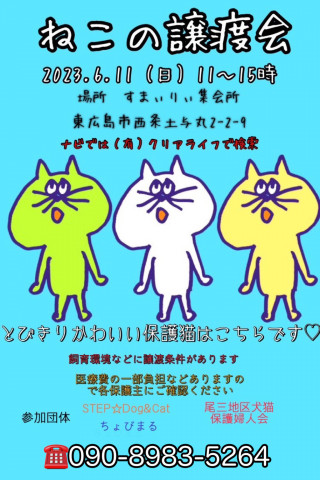 ねこの譲渡会