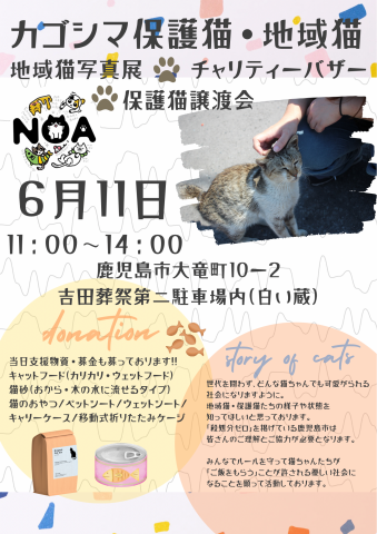 鹿児島保護猫・地域猫/チャリティバザー＆写真展♪