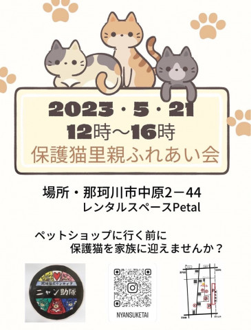 ねこの譲渡会