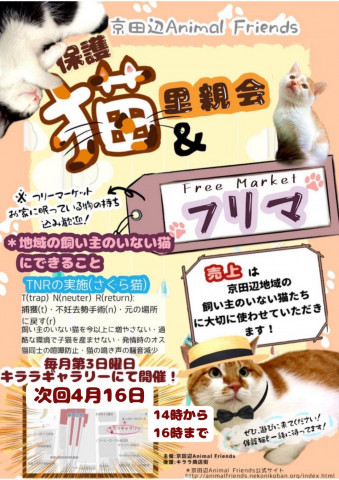 保護猫の里親会 In 京田辺市