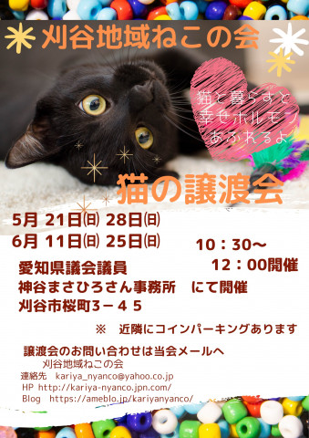 刈谷地域ねこの会　譲渡会