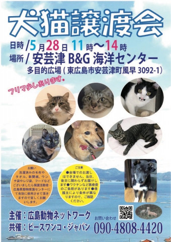 犬猫譲渡会