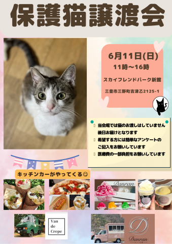 保護猫譲渡会