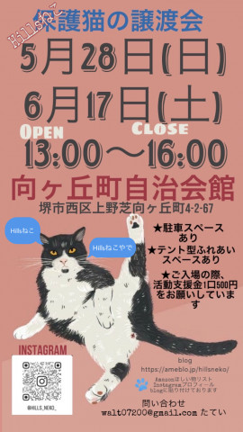 保護猫の譲渡会