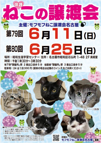 猫の譲渡会　in　名古屋市昭和生涯学習センター