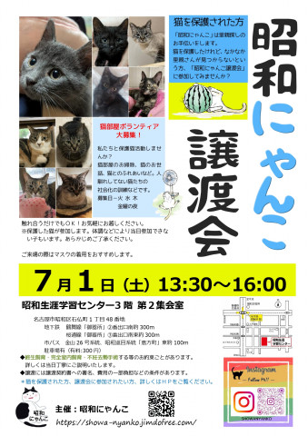 昭和にゃんこ譲渡会　in　名古屋市昭和区