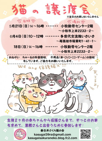 子猫&成猫祭り！