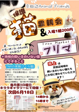 猫の里親会 in 京田辺市