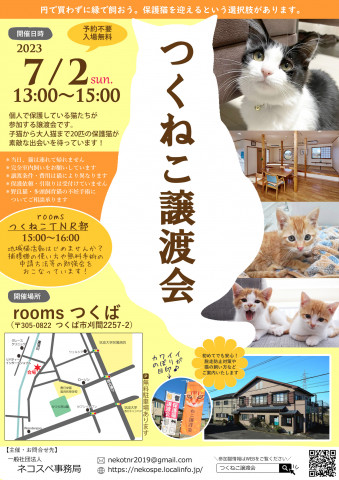 つくねこ譲渡会