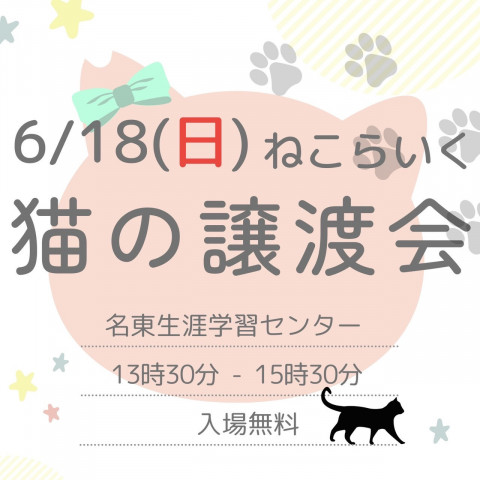 ねこらいく保護猫譲渡会