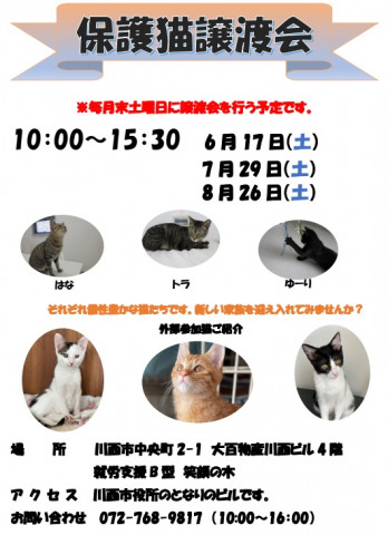 保護猫譲渡会