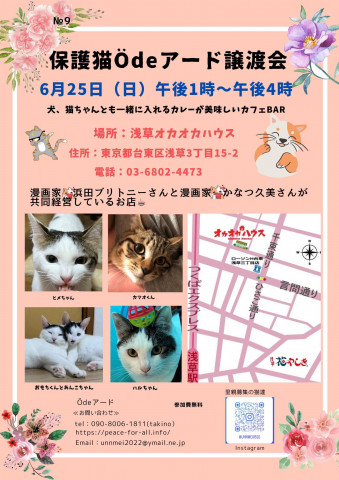 保護猫Ödeアード譲渡会