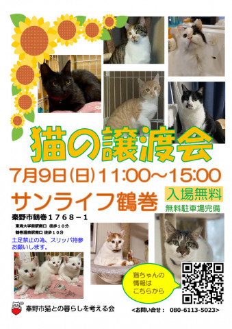 猫の譲渡会＠秦野市