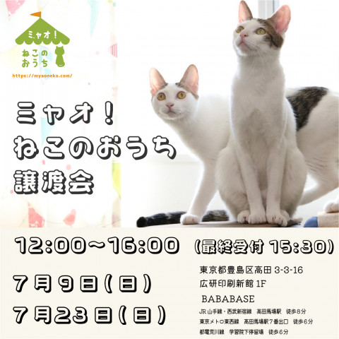 ミャオねこ譲渡会◆高田馬場