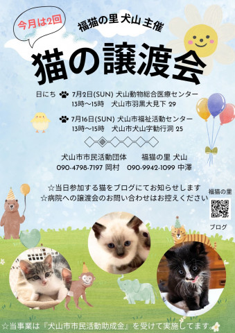 猫の譲渡会 @犬山市動物総合医療センター