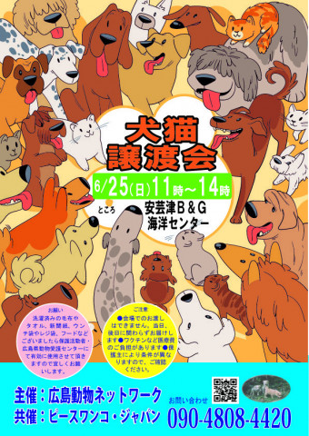 犬猫譲渡会