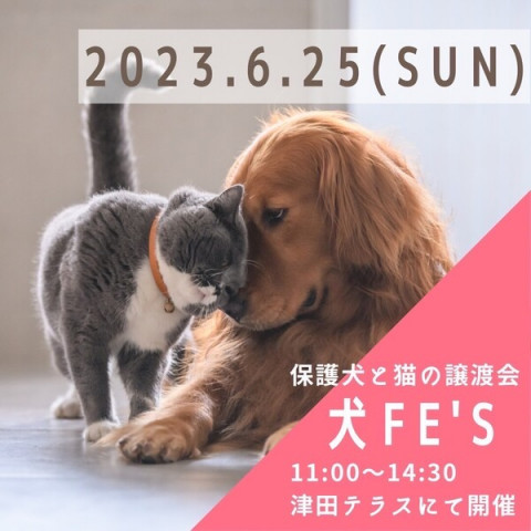 保護犬と猫の譲渡会【犬Ｆés】