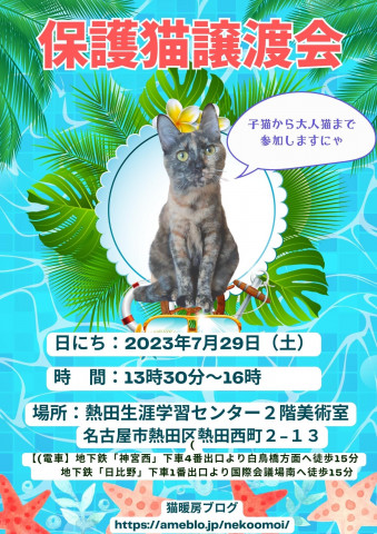 保護猫譲渡会猫暖房