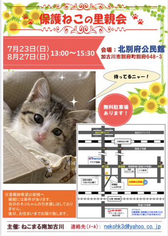 7/23保護ねこの里親会