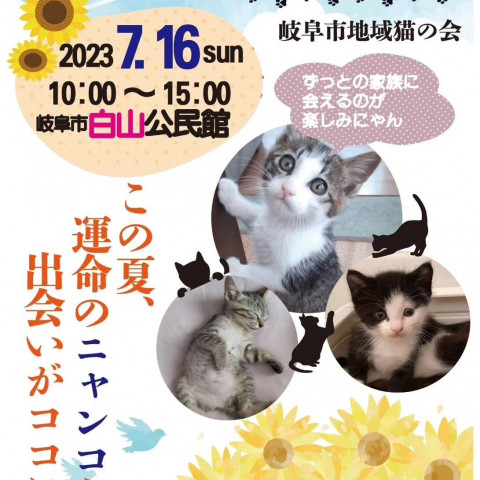 岐阜市地域猫の会  譲渡会