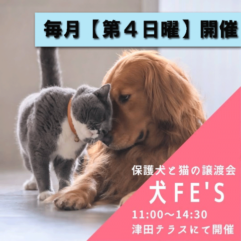 保護犬と猫の譲渡会【犬Ｆés】