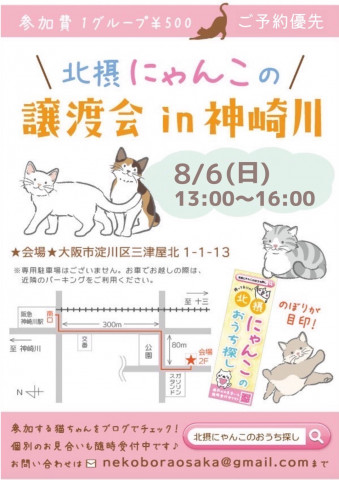 仔猫だらけの譲渡会