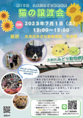 猫の譲渡会❤️久米川みどり動物病院（雨天決行）