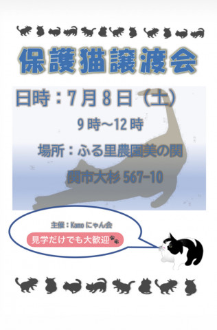 保護猫譲渡会 in 関市ふる里農園