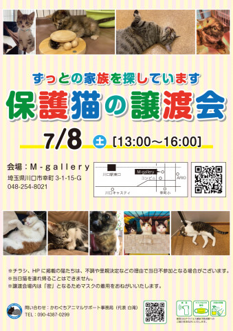 保護猫の譲渡会