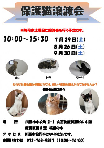 保護猫譲渡会