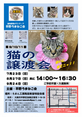 第９回平野ろまねこ譲渡会