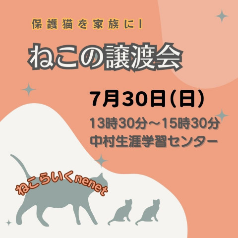 保護猫譲渡会　名古屋市