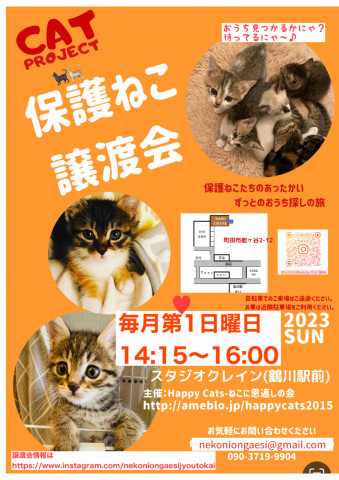 HappyCatsねこに恩返しの会〜保護ねこたちのずっとのお家探しの旅♡譲渡会