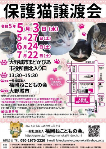 一社）福岡ねこともの会　保護猫譲渡会