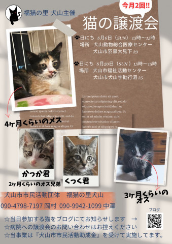 猫の譲渡会 @犬山市動物総合医療センター