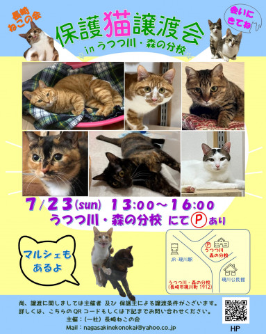 保護ねこ譲渡会 inうつつ川･森の分校