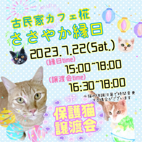 ささやか縁日保護猫譲渡会