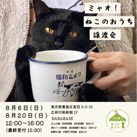 ミャオねこ譲渡会◆高田馬場