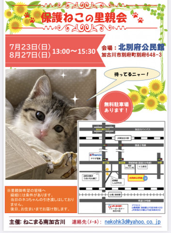 保護ねこの里親会