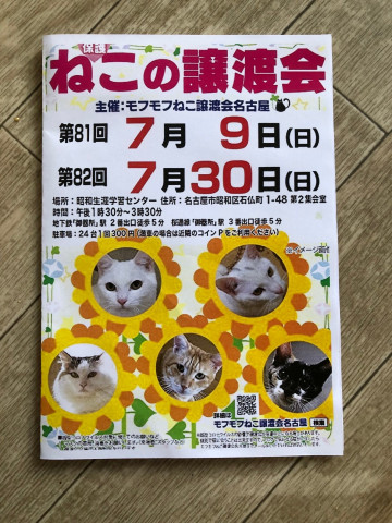 モフモフねこ譲渡会名古屋