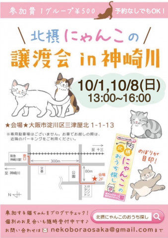 北摂にゃんこの譲渡会㏌神崎川