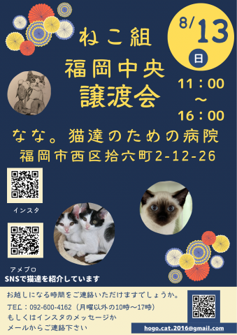 ねこ組🐾福岡中央譲渡会atなな。猫達のための病院