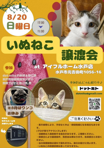 いぬねこ譲渡会　at アイフルホーム水戸店