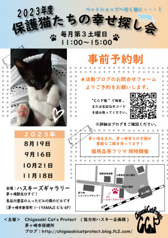第１３１回保護猫たちの幸せ探し会　（神奈川県茅ヶ崎市）