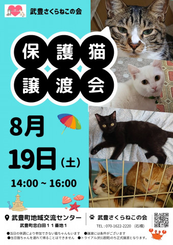 武豊さくらねこの会譲渡会　