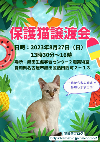 保護猫譲渡会猫暖房