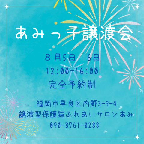 譲渡型保護猫ふれあいサロンあみ譲渡会