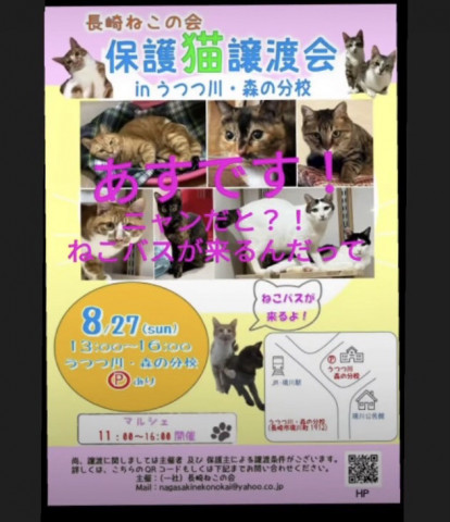 保護ねこ譲渡会&マルシェ inうつつ川･森の分校